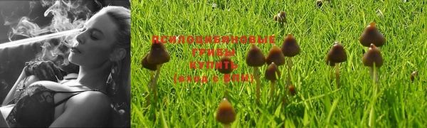 бошки Аркадак