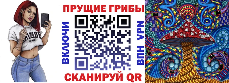 Галлюциногенные грибы Psilocybine cubensis  как найти   Ленск 